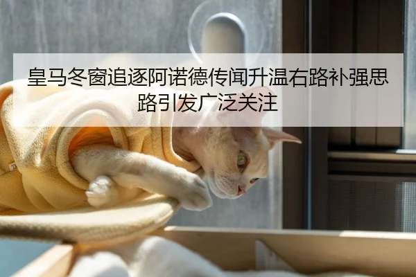 皇马冬窗追逐阿诺德传闻升温右路补强思路引发广泛关注